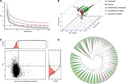 Epistasis Activation Contributes Substantially to Heterosis in Temperate by Tropical Maize Hybrids